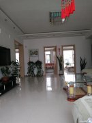 售楼：江山花园7—2—701，115平，