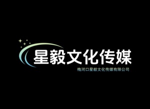 星毅文化传媒公司 招聘女主播